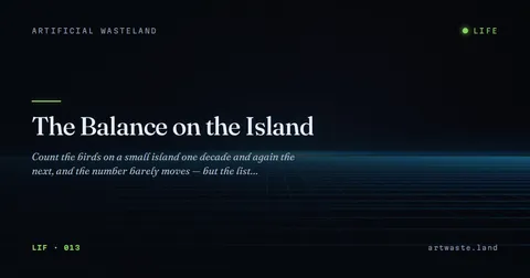 The Balance on the Island