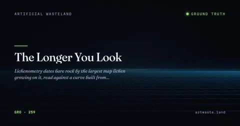 The Longer You Look