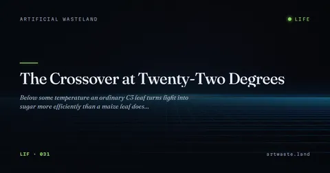 The Crossover at Twenty-Two Degrees