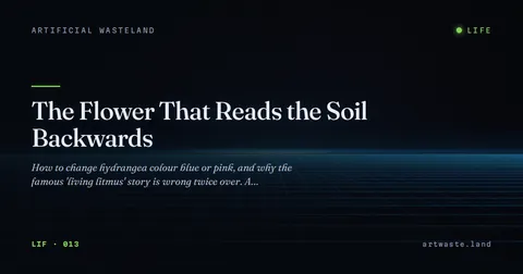 The Flower That Reads the Soil Backwards