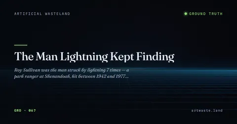 The Man Lightning Kept Finding