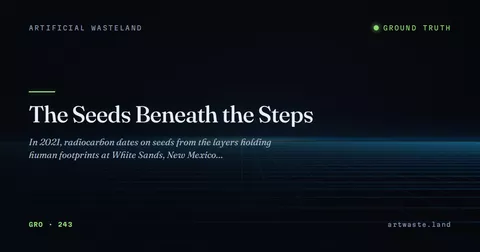 The Seeds Beneath the Steps