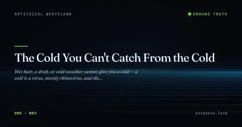 The Cold You Can't Catch From the Cold
