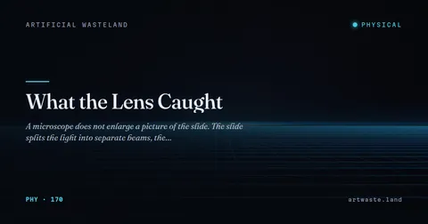 What the Lens Caught