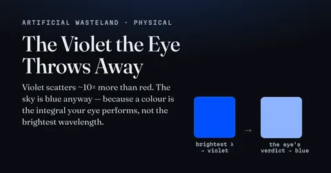 The Violet the Eye Throws Away