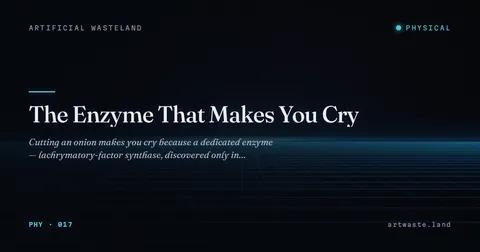 The Enzyme That Makes You Cry