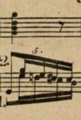 Measure 5