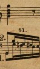 Measure 81
