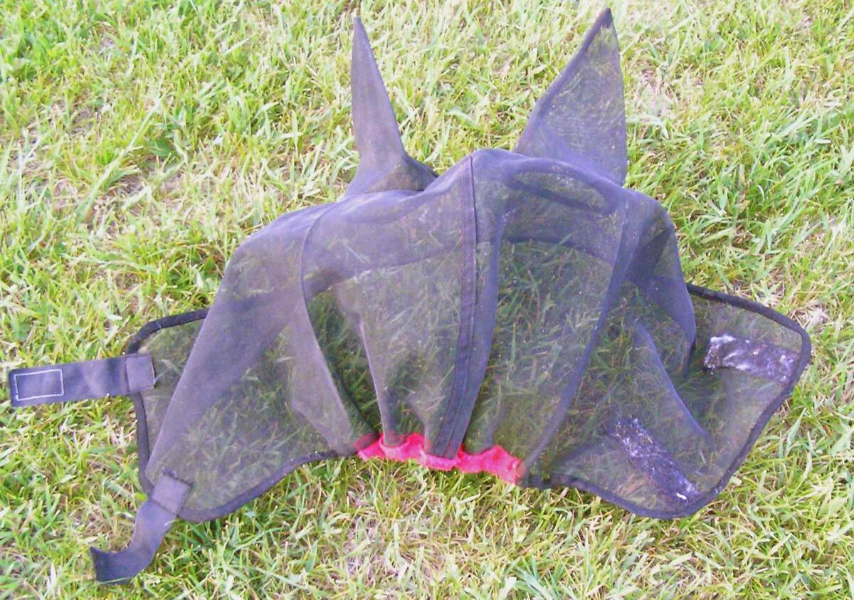 A black fine-mesh horse fly mask lying empty on cut grass, with two upright pointed ear pockets, bright pink elastic binding round the muzzle end and a velcro strap at the throat. Blades of grass are visible through the mesh.