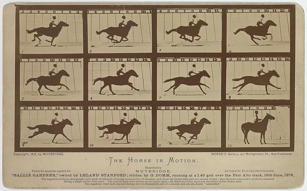 Twelve small sequential photographs in three rows, each showing a dark silhouette of a horse and rider at a different point in one galloping stride against a pale backdrop ruled with numbered vertical lines. In two of the frames all four hooves are off the ground at once.