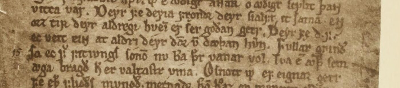 A strip of the Codex Regius in an 1891 photograph: brown parchment, five lines of dense Gothic minuscule with no gaps between stanzas and no numbers in the margin except the editors' line number 15.